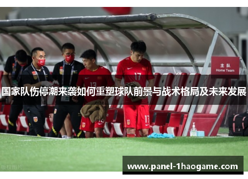 国家队伤停潮来袭如何重塑球队前景与战术格局及未来发展