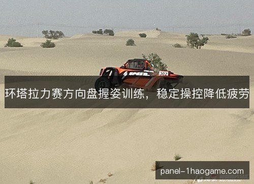 环塔拉力赛方向盘握姿训练，稳定操控降低疲劳